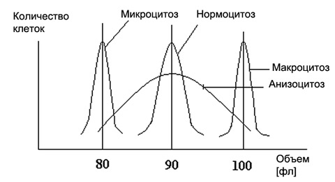 546488846