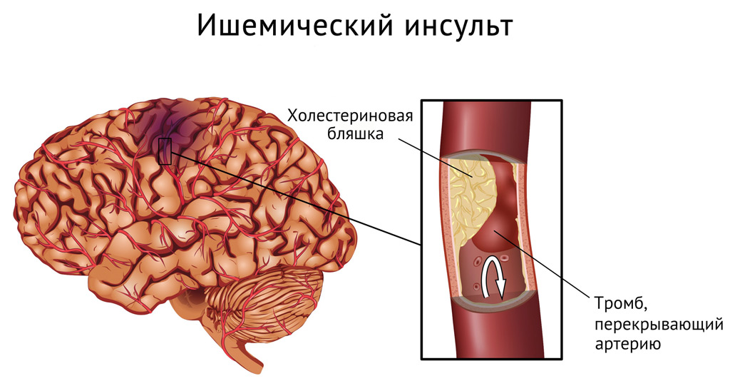 546884684