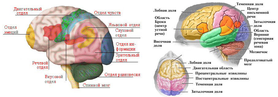 546886648