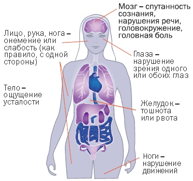 6884668446846