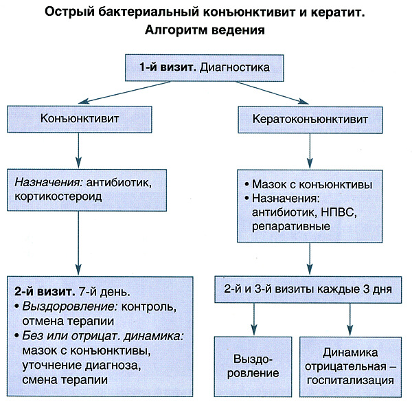 Алгоритм лечения болезней